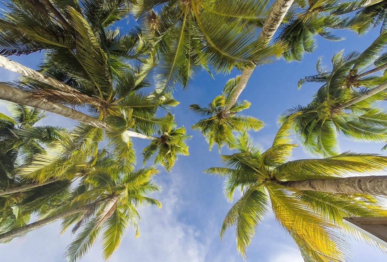 Palm Beach Gardens Florida upscale shopping and gardens